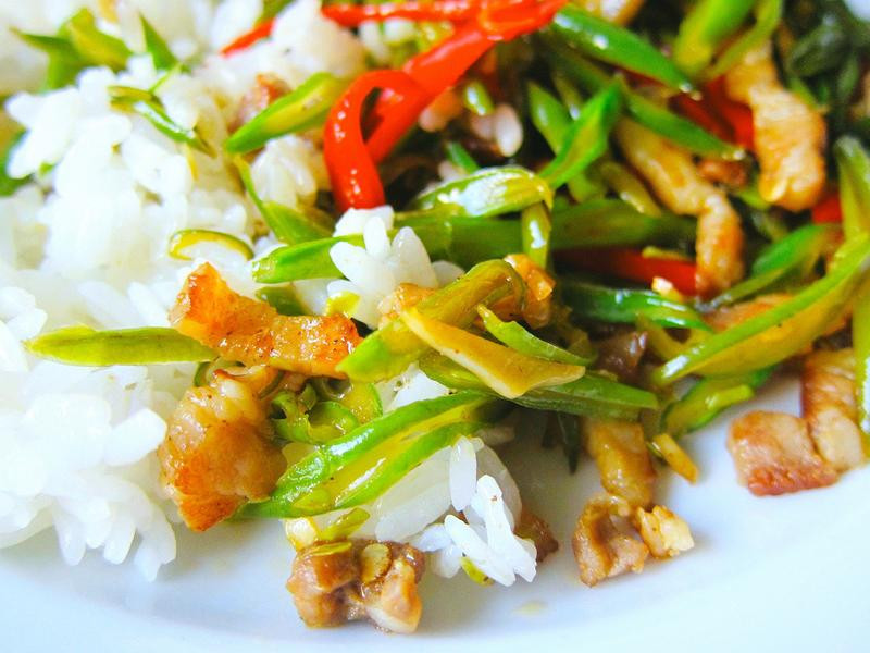 �����ļ���������