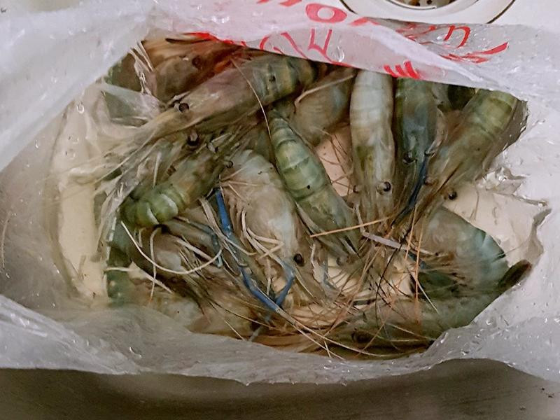 ��ըϺͷ����Ϻ�͵�����