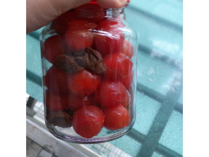 ÷��ެ�ѵ�����