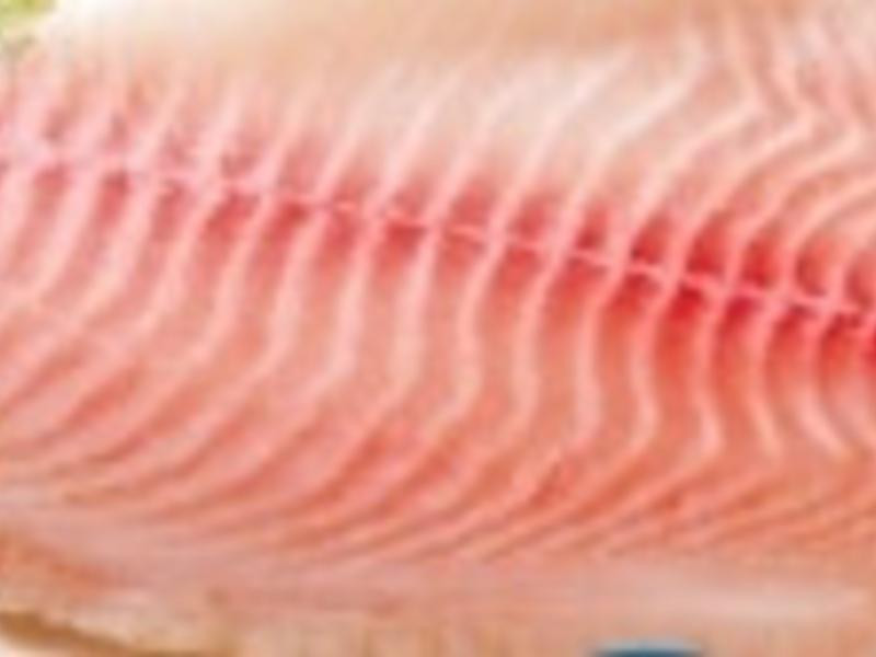 ζ�ᶹ�������������