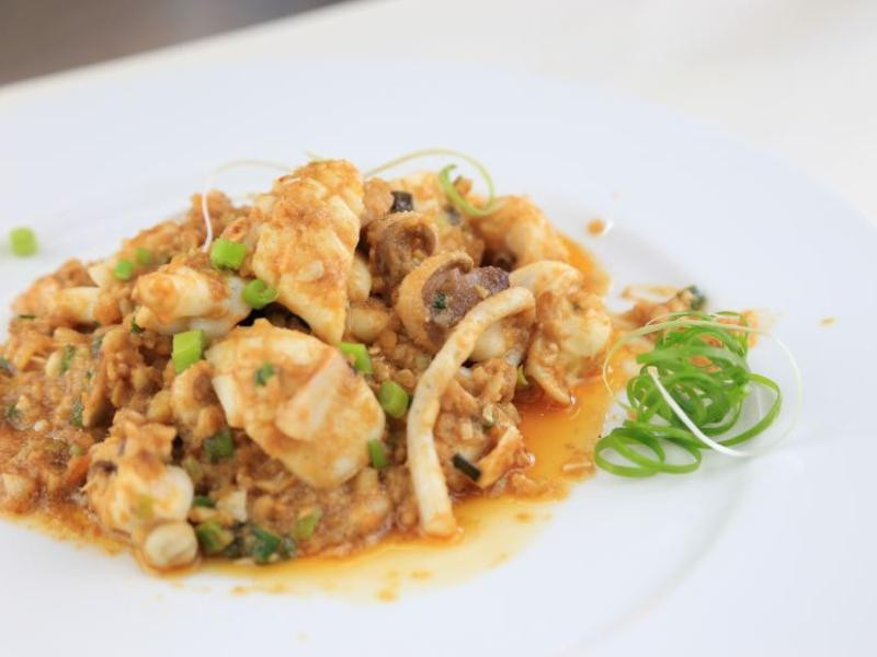 ��ɳ���ۻ�֦������