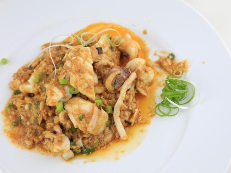 ��ɳ���ۻ�֦������