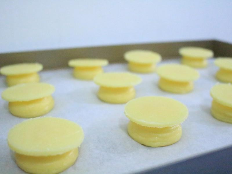 ������ʹ�Ƥ��ܽ������