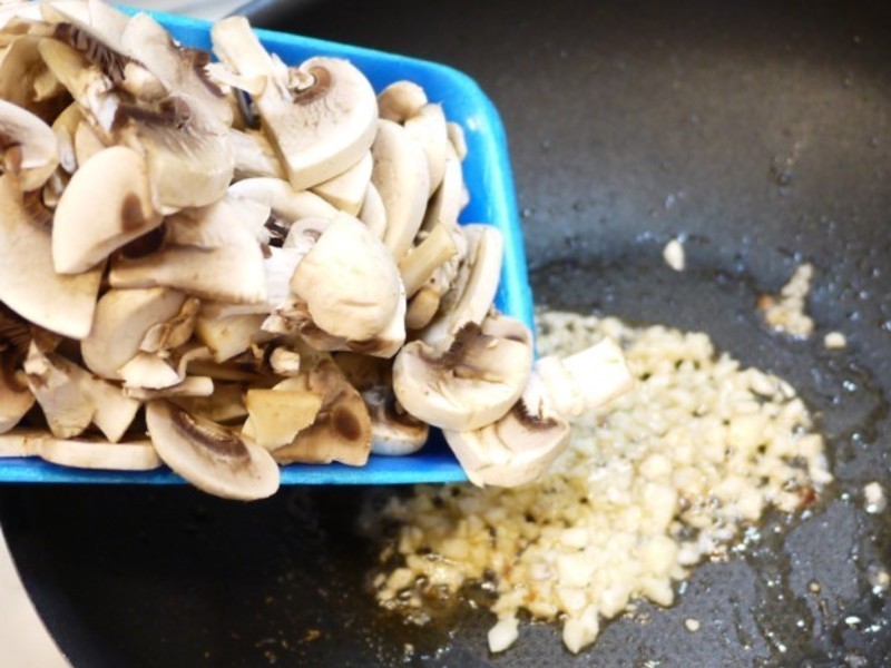 ��˾�������Ģ����������