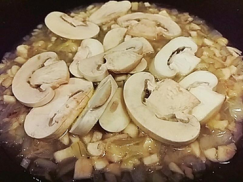 ��֭Ģ����������