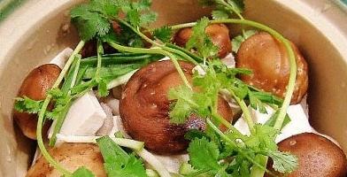 ΢��Ģ������������