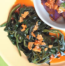 ���׵ع�Ҷ������