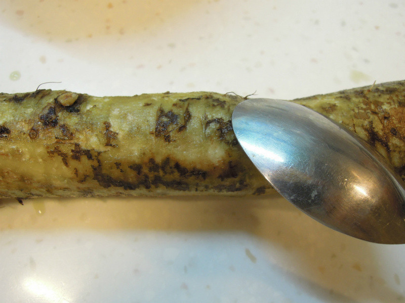 ţ����������