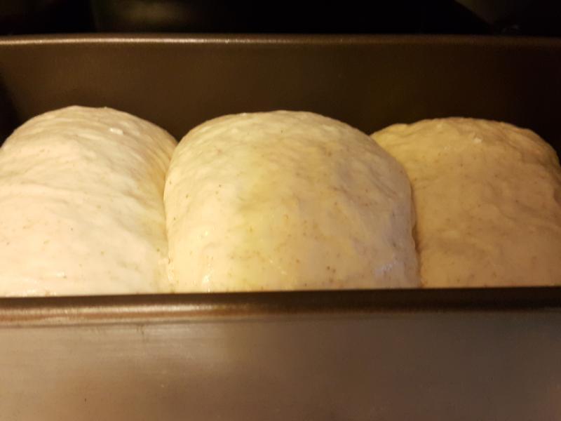 ������˾(�ο��ⱦ��������˾��)������