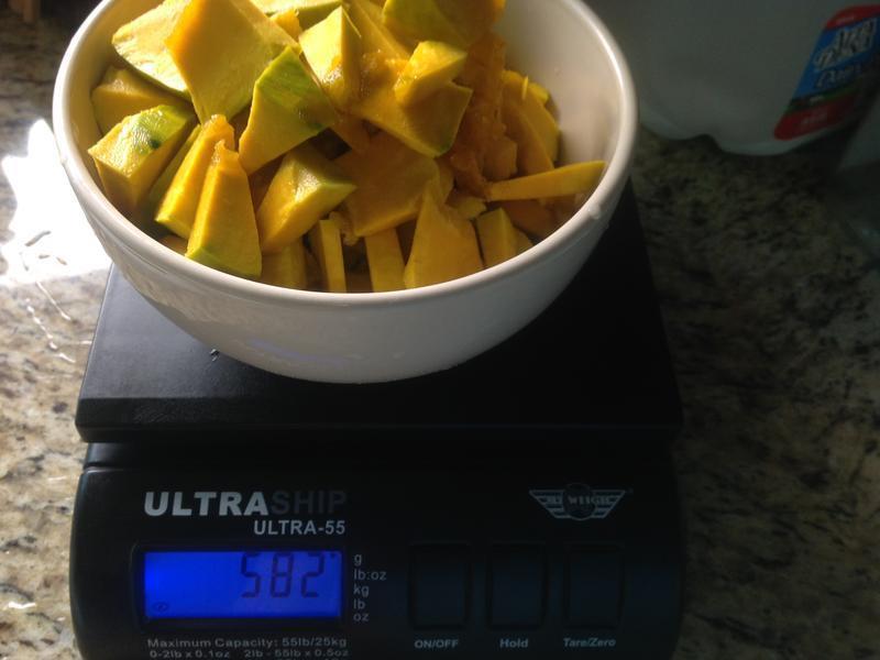 ��Ũ�Ϲ���������