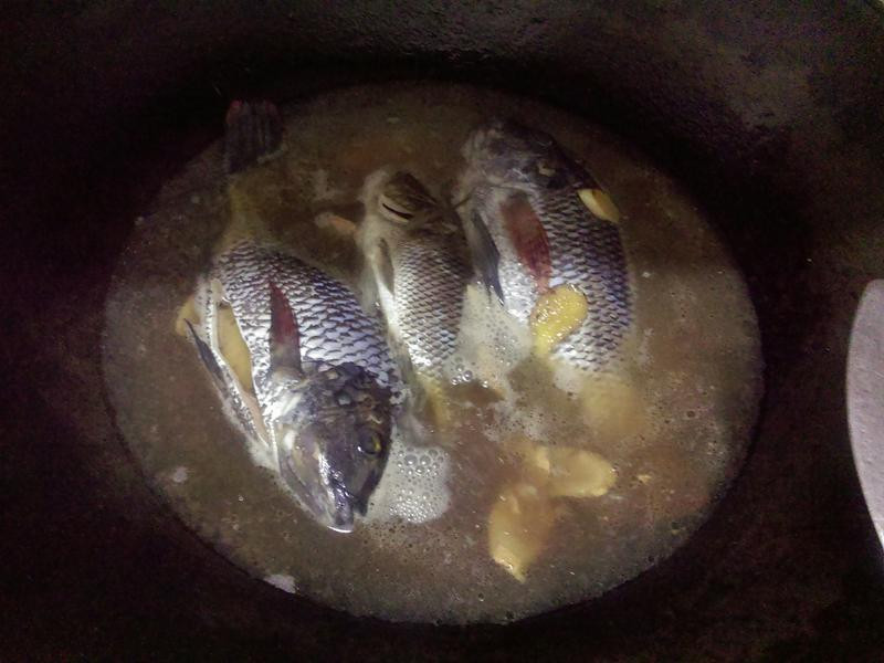 ����������������