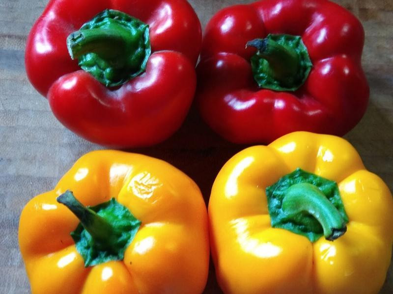 ޼��ʽ��ѵ�����