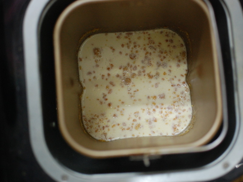 ���ҵ���-�ѥ�ι����ֹ����������������