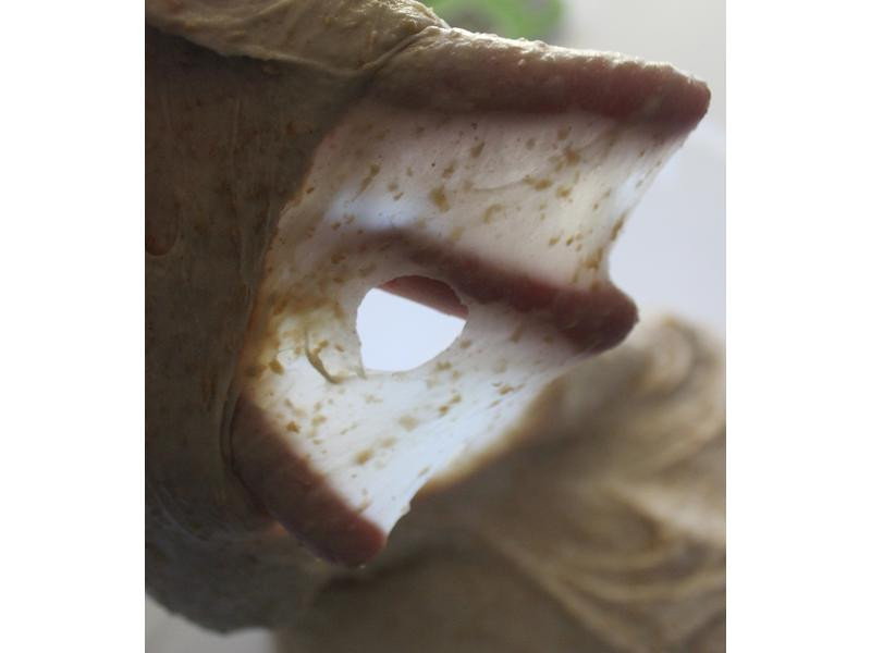 50%ȫ��ɽ����˾������