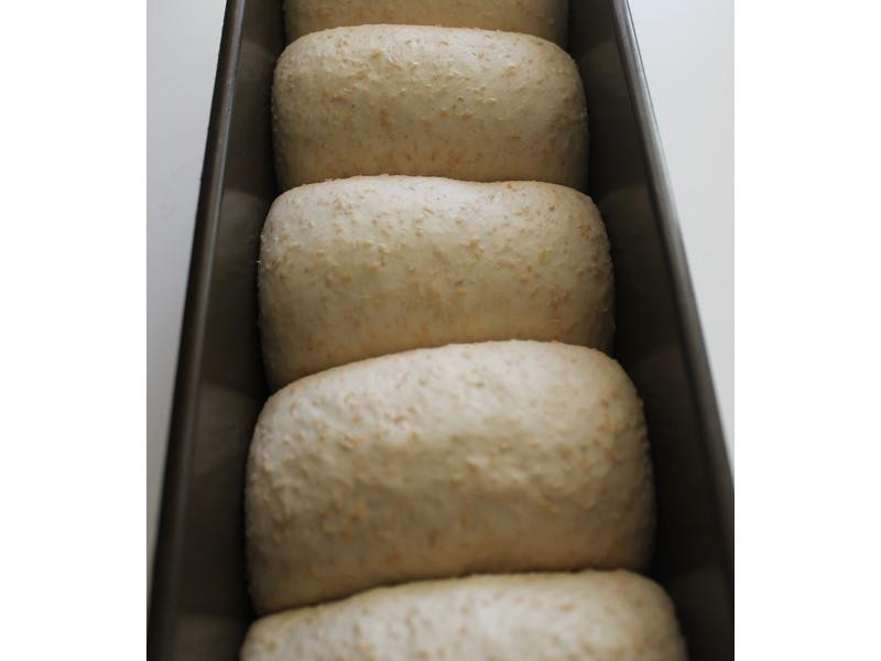 50%ȫ��ɽ����˾������