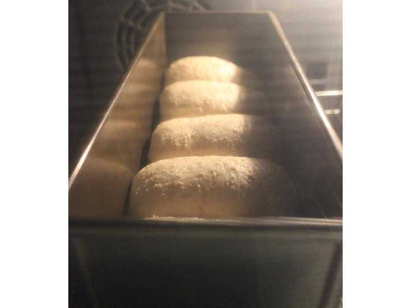 50%ȫ��ɽ����˾������