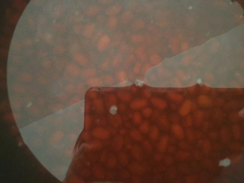 ������轺��Ǻ춹����������