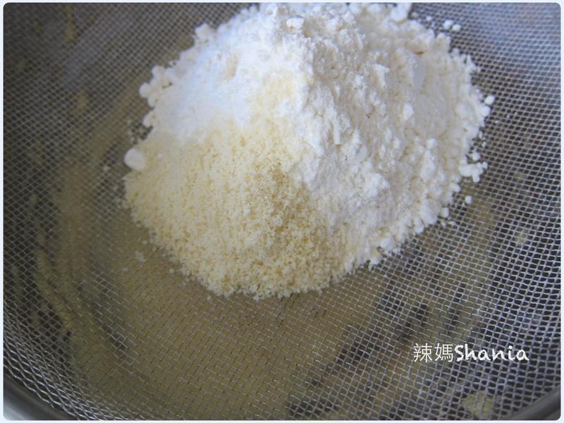 ����˫ɫ����-���͵������Book������