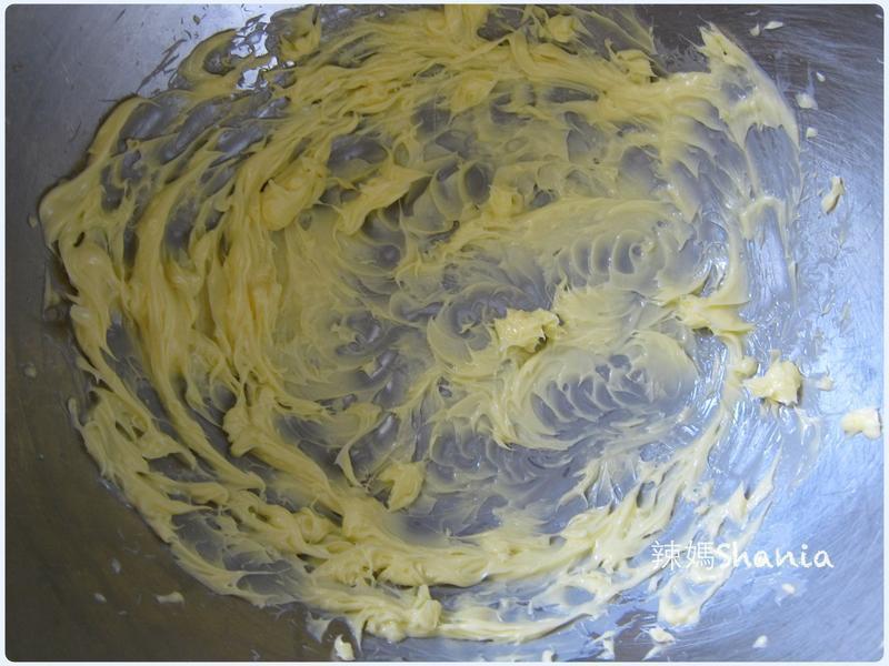 ����˫ɫ����-���͵������Book������