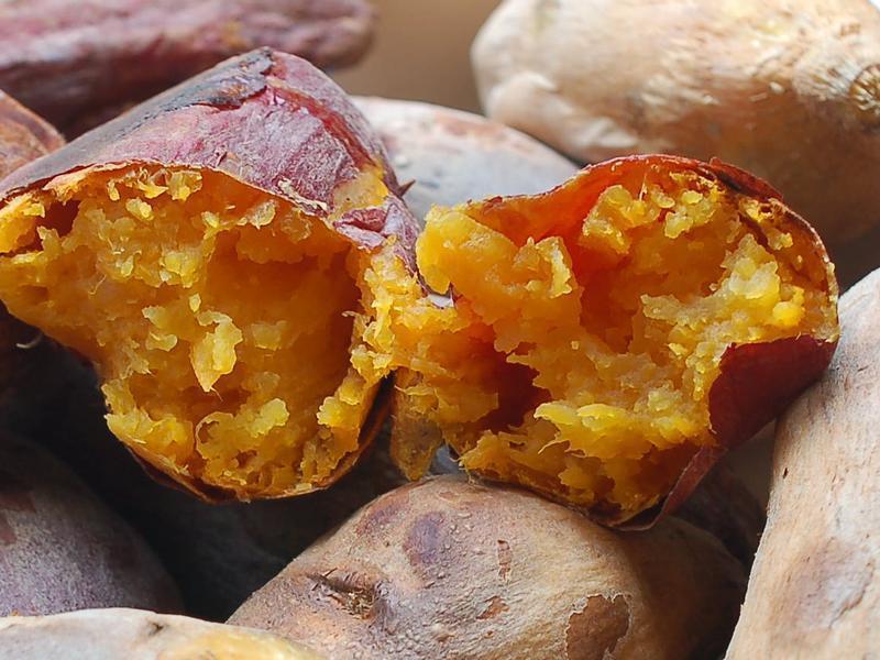 �����عϡ�������