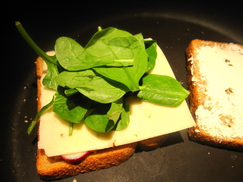 ����˾������(Grill Cheese)������