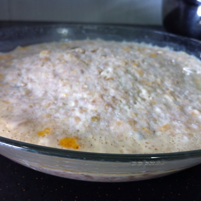 ������Ѽ���������������