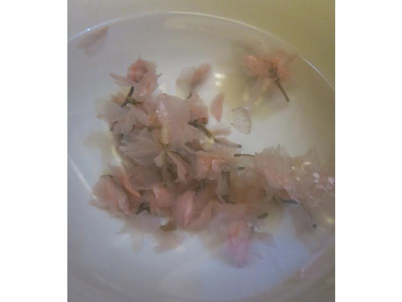 ����ӣ������֥ʿ���������