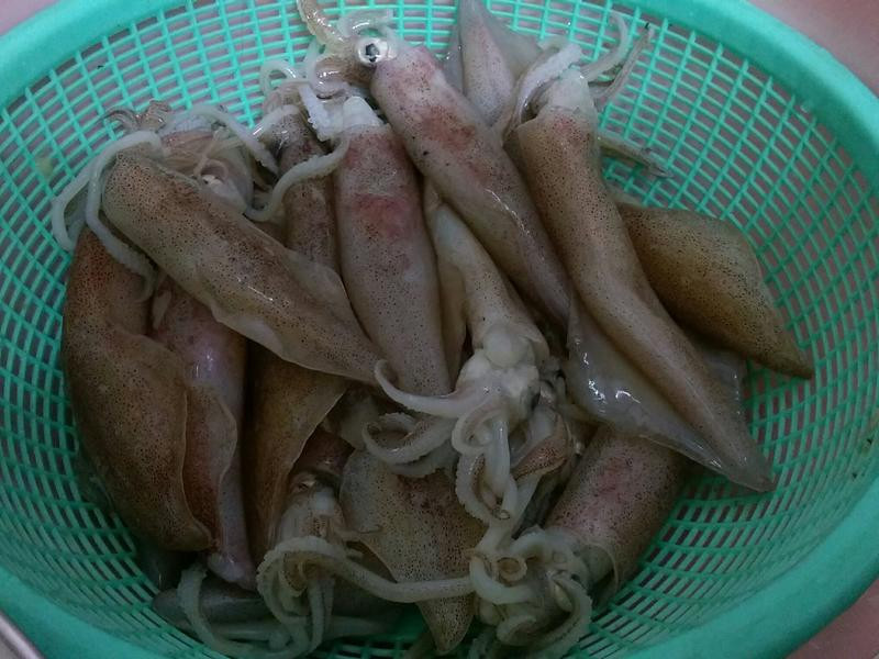 ����С��������