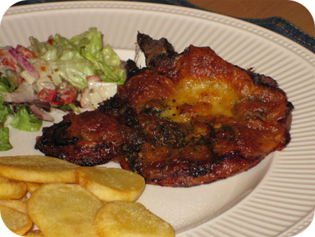 ��ʽ�������ŵ�����