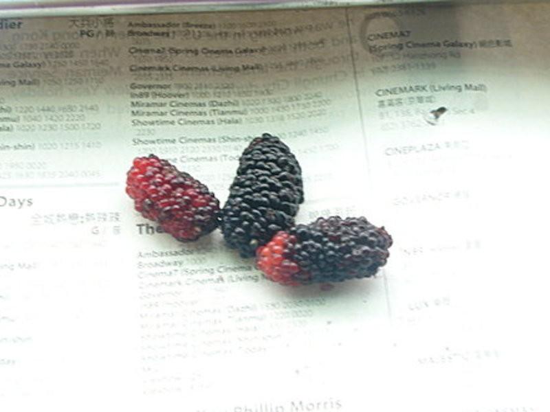 ɣ���Ÿ���(�����Ÿ�)������