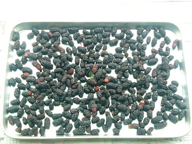 ɣ���Ÿ���(�����Ÿ�)������