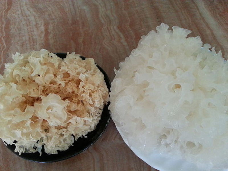 ޲��������������ʳ������������