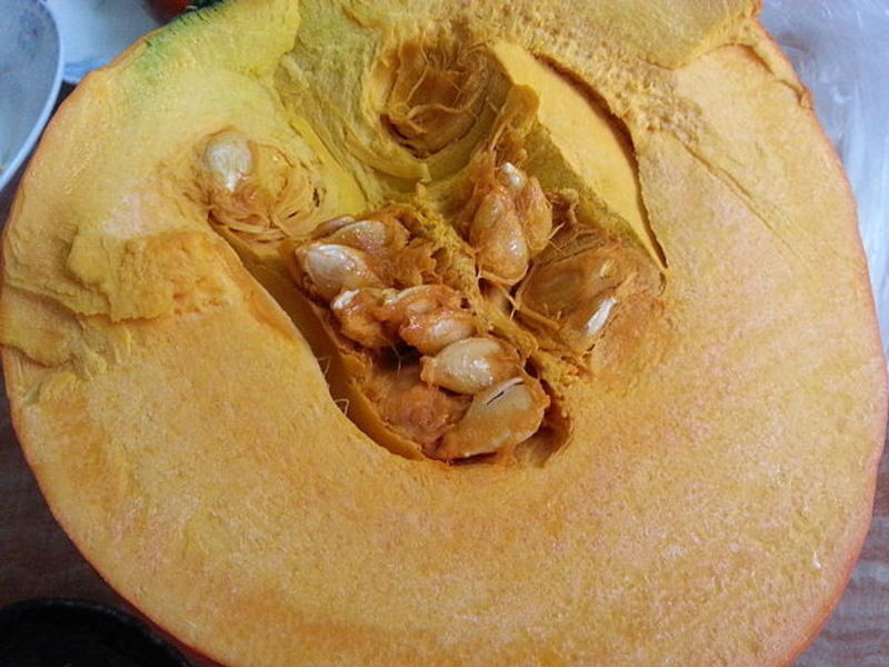 ޲��������������ʳ������������