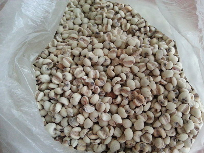 ޲��������������ʳ������������