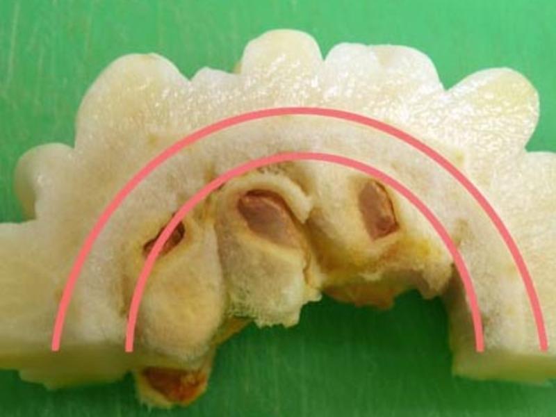 ���������ݲ� ? �������2������