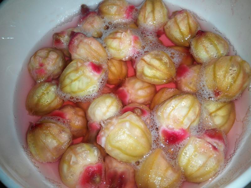 ����決��~~�������񻨹���DIY������