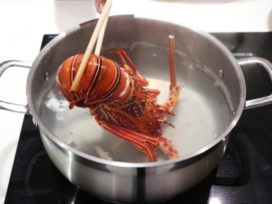 ��Ϻ���汭 [�����ɶԾ�ѡʳ��]������