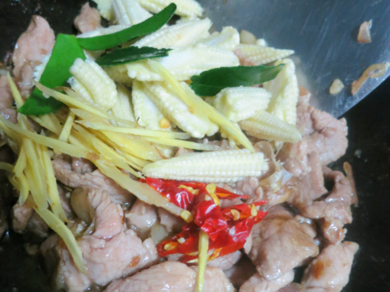 ������������̺�������˿������