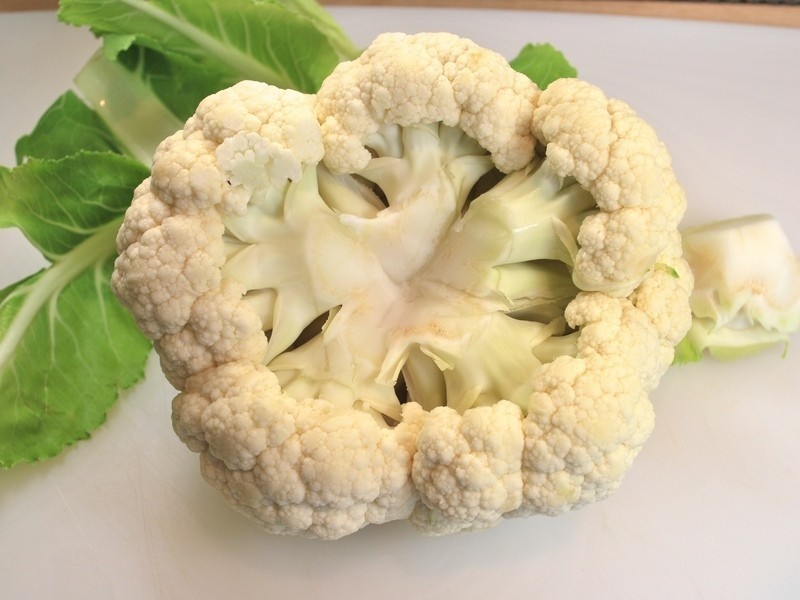 ӡ�����Ͽ���Ҭ�˵�����