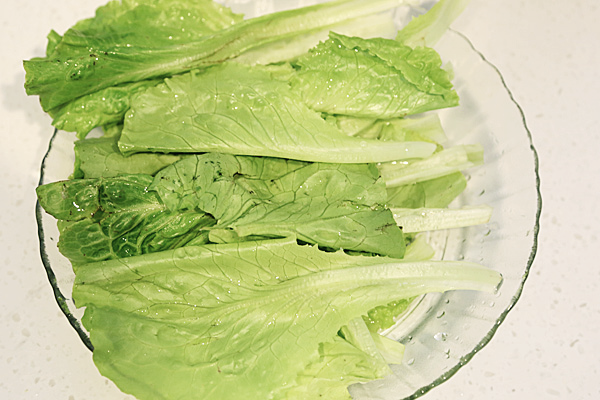 ����ɳ���������