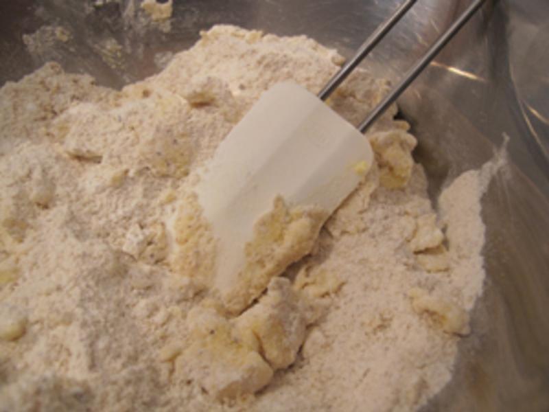 �ɿ���������ɣ��µ�����ʳ������