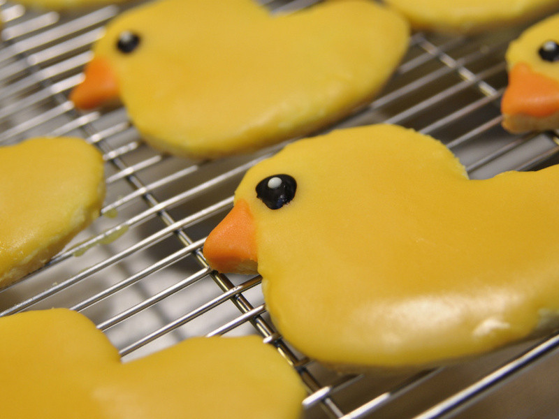 ��ɫСѼ���� | Yellow Duck Cookies������