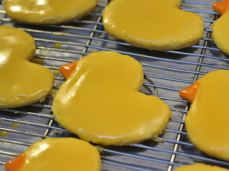 ��ɫСѼ���� | Yellow Duck Cookies������