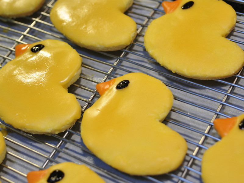 ��ɫСѼ���� | Yellow Duck Cookies������
