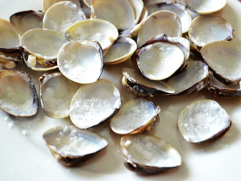 �����̿�������������