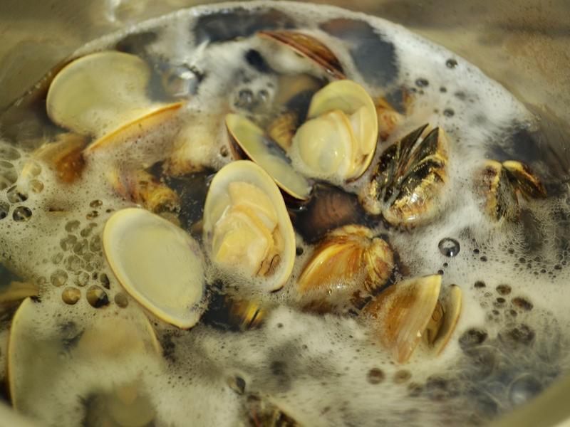 �����̿�������������