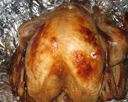 ��ʽ���𼦵�����