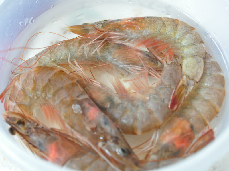 �Ե���÷��֭ըϺ������