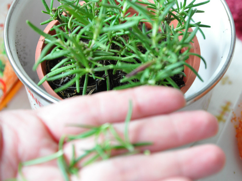 �Ե���÷��֭ըϺ������