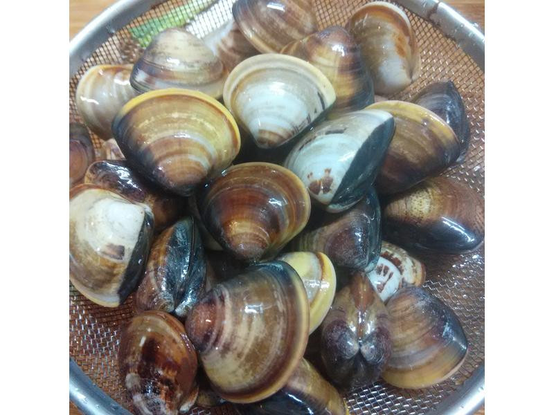 ����С���õ�����